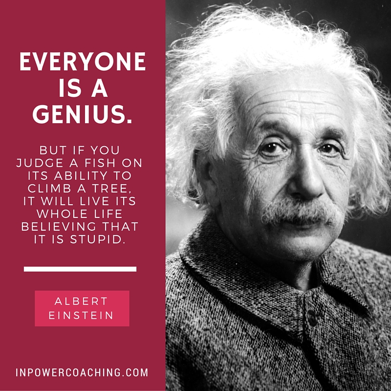 everyone is a genius