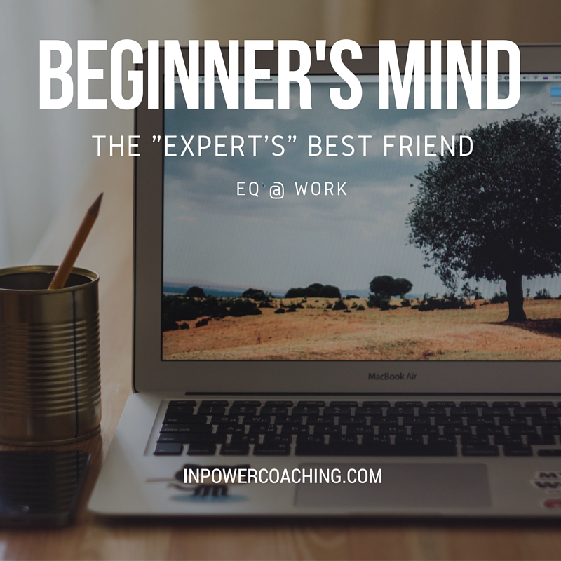 beginners mind